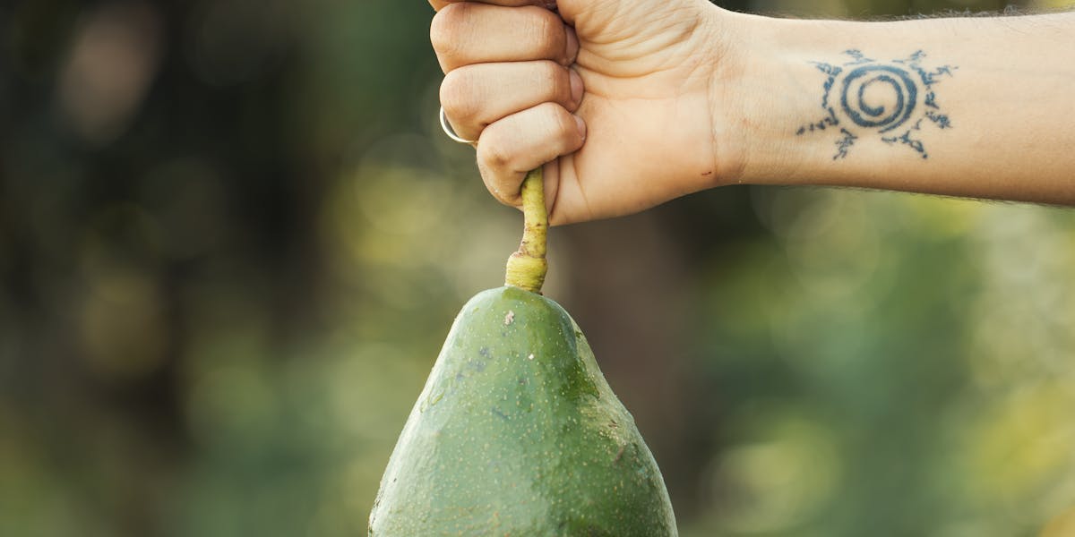 Como escolher o peixe ideal para assar com ervas
