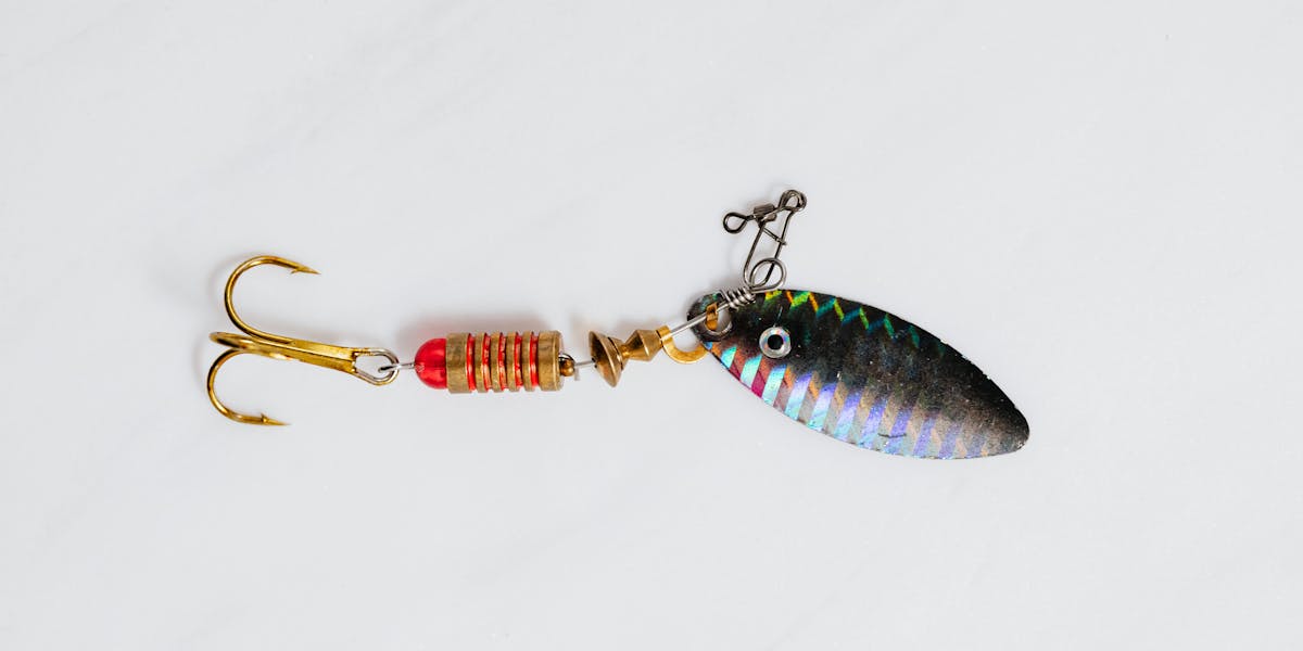 jigging pesca