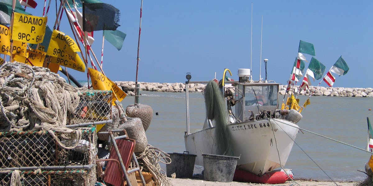 melhores marcas de pesca